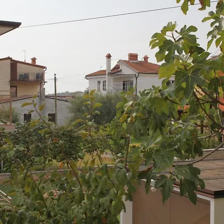 Novigrad 7108b Novigrad Istria